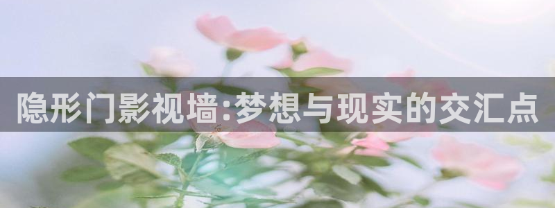 反转人生西瓜影院