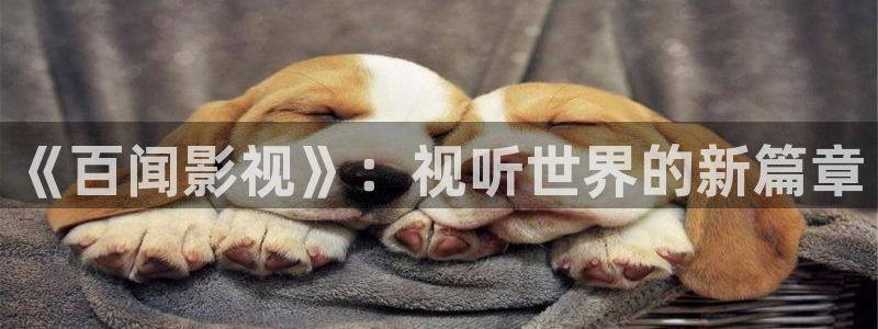 西瓜西瓜播放器